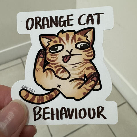 Orange Cat Behaviour